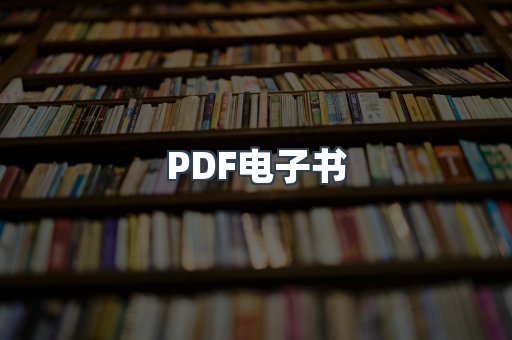 PDF电子书